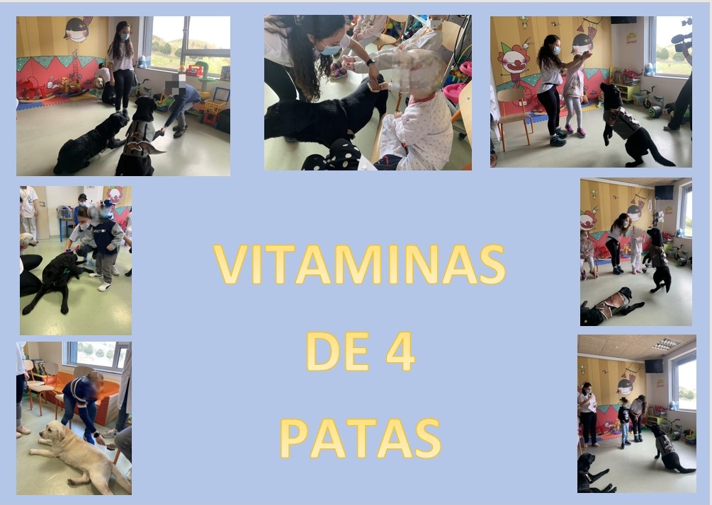 23-24 VITAMINAS DE 4 PATAS